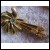Signed 'D' Vintage Retro Large Rhinestone Goldtone Clip-on Earrings 2.5"
